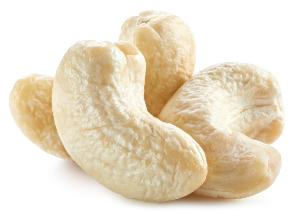 Cashew Nuts Exporter