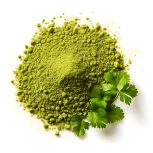 Coriander Powder for Export